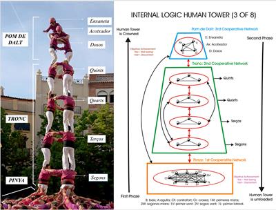 The Emotional States Elicited in a Human Tower Performance: Case Study